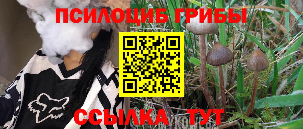 Комсомольск-на-Амуре  Псилоцибиновые грибы Psilocybine cubensis  Вход с VPN 
