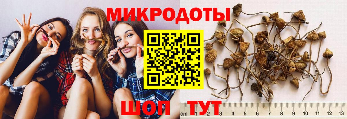 Псилоцибиновые грибы Magic Shrooms Комсомольск-на-Амуре